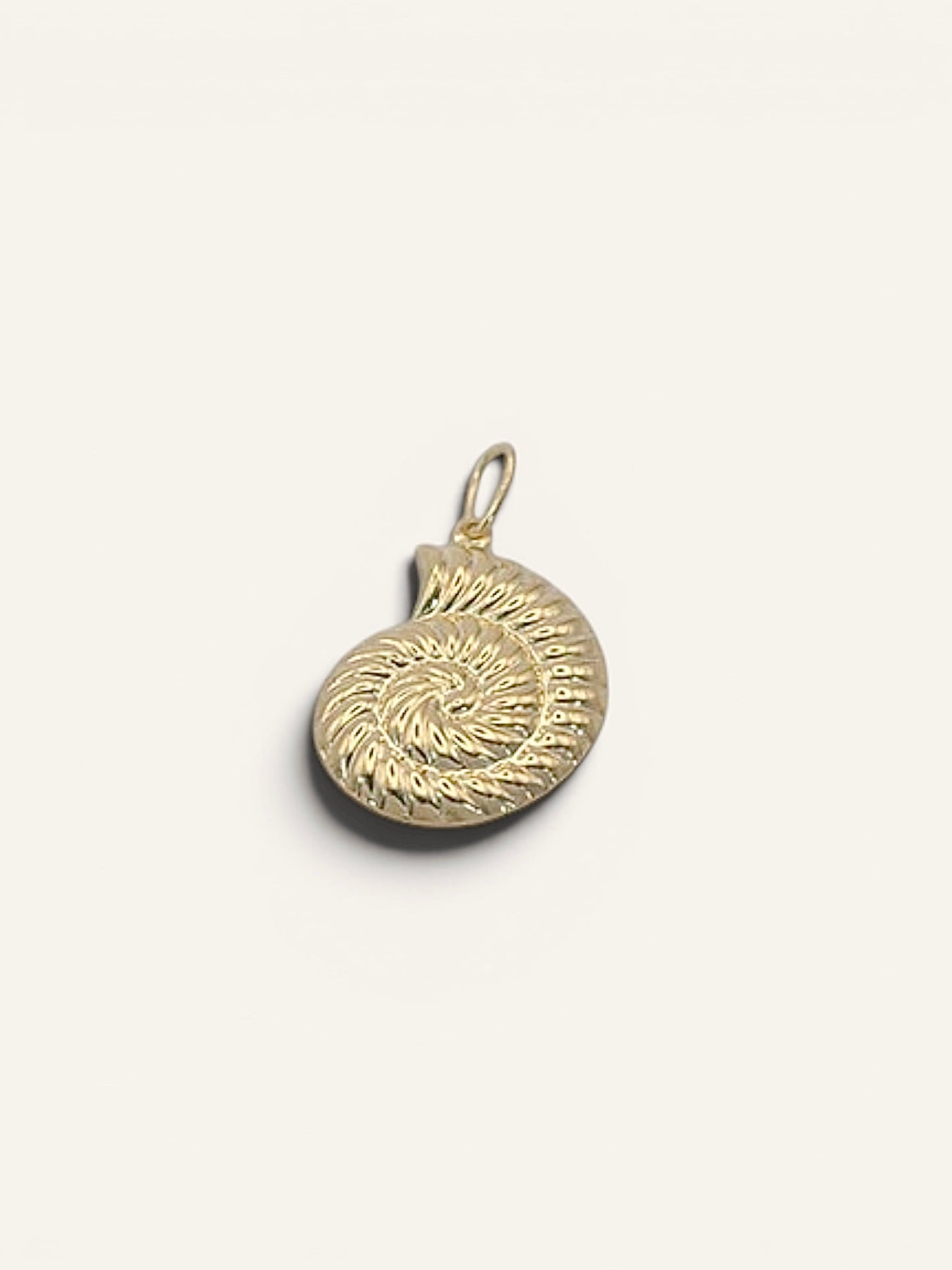 Seashell Pendant
