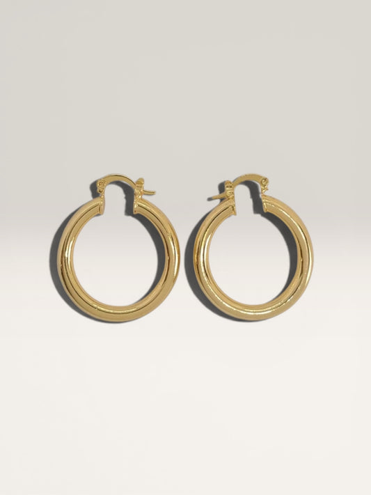 Ava Hoops
