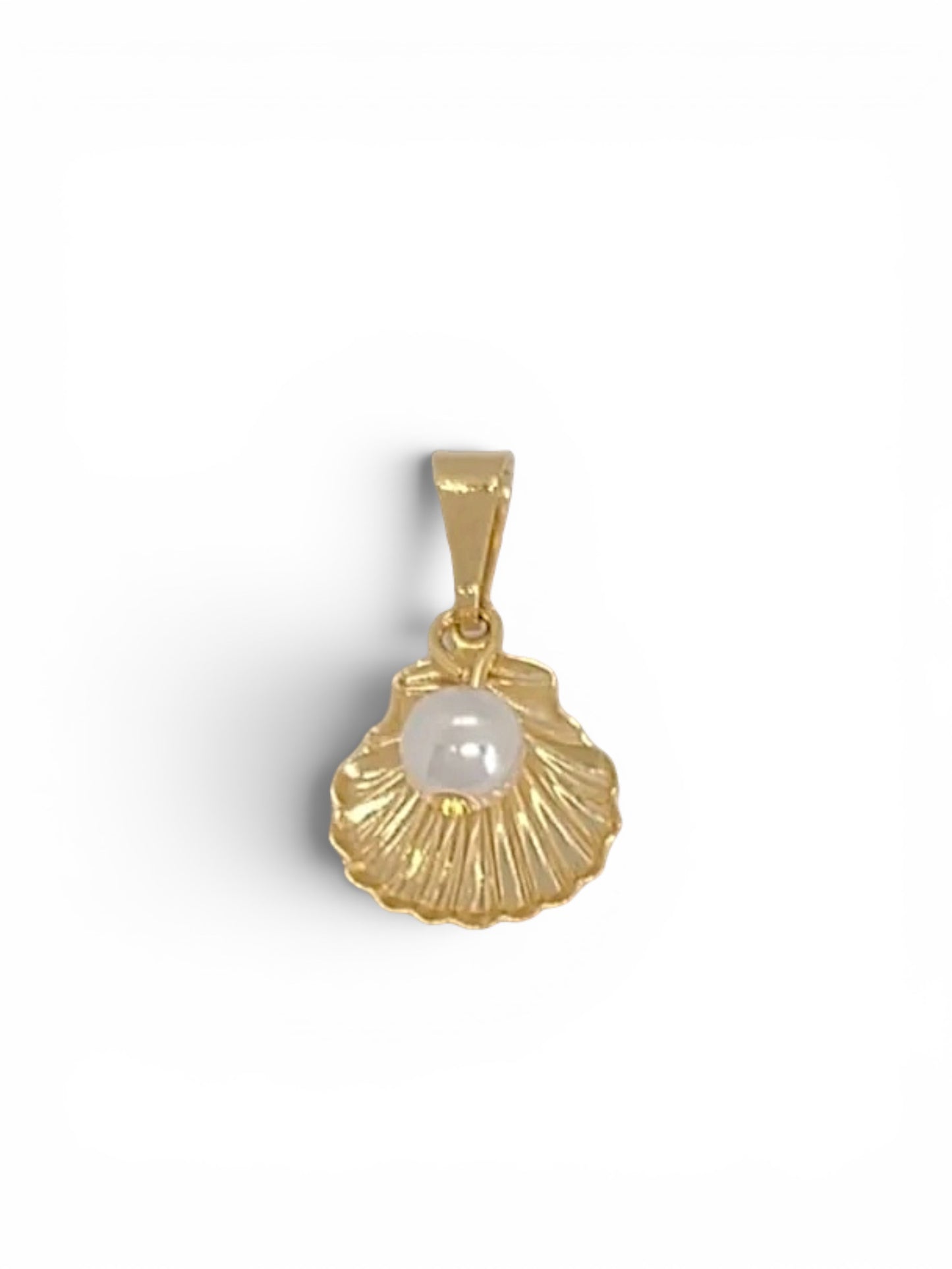Shell Pendant