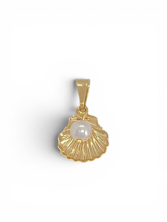 Shell Pendant