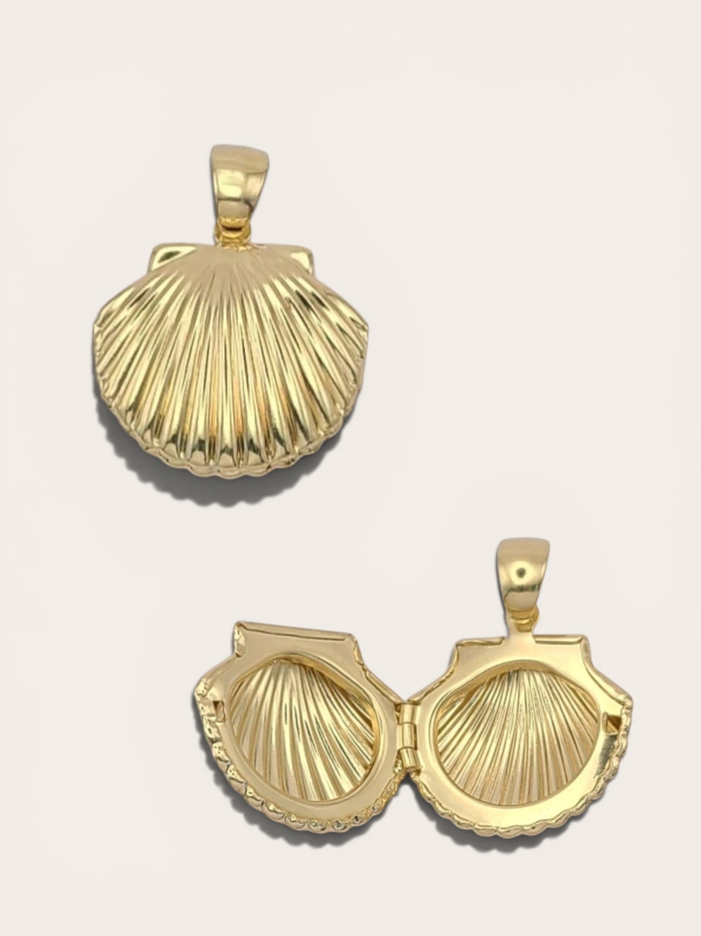 Shell Locket